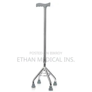 Elderly Walking Stick