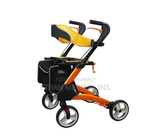 Patient Walking Walker Rollator