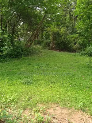 7 Decimal Land in Kaliganj—Ideal for Home or Investment