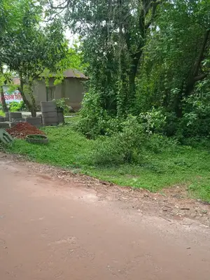মনোরম পরিবেশে কালিগঞ্জে ৭ শতাংশ জমি—বাসা বা বিনিয়োগের জন্য আদর্শ