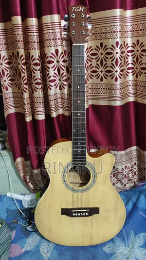 TGM Semi Acoustic Professional Equalizer Guitar