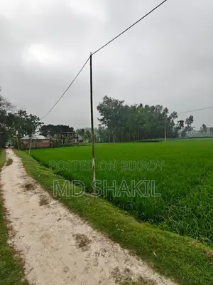 Land Rent