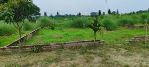 5 Katha Ready Plot for Sale Near Hemayetpur, Close to Metro Rail