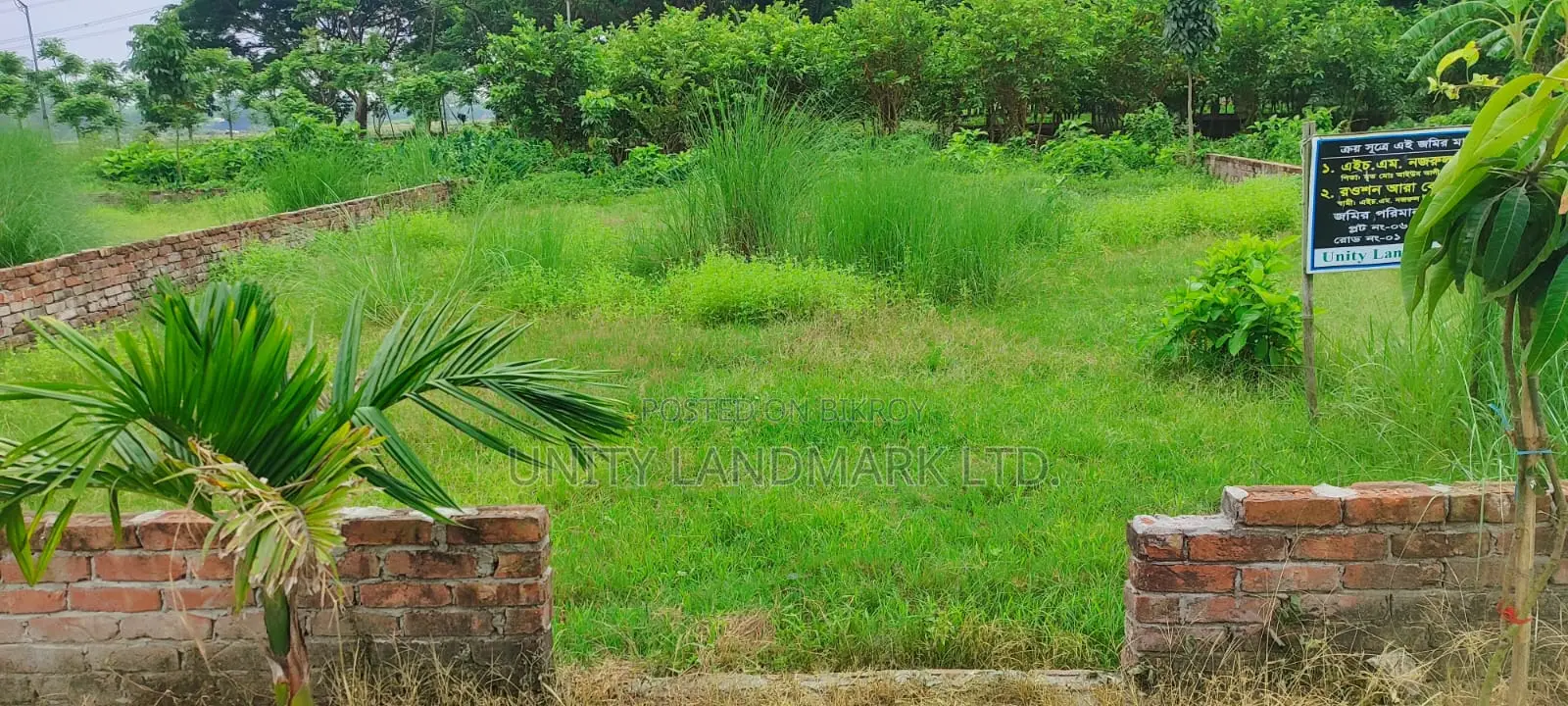 মেট্রো রেলের কাছে হেমায়েতপুর সংলগ্ন ৫ কাঠার নিষ্কন্টক রেডি প্লট