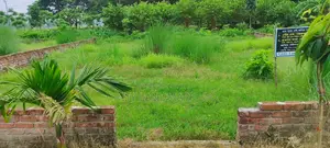 মেট্রো রেলের কাছে হেমায়েতপুর সংলগ্ন ৫ কাঠার নিষ্কন্টক রেডি প্লট