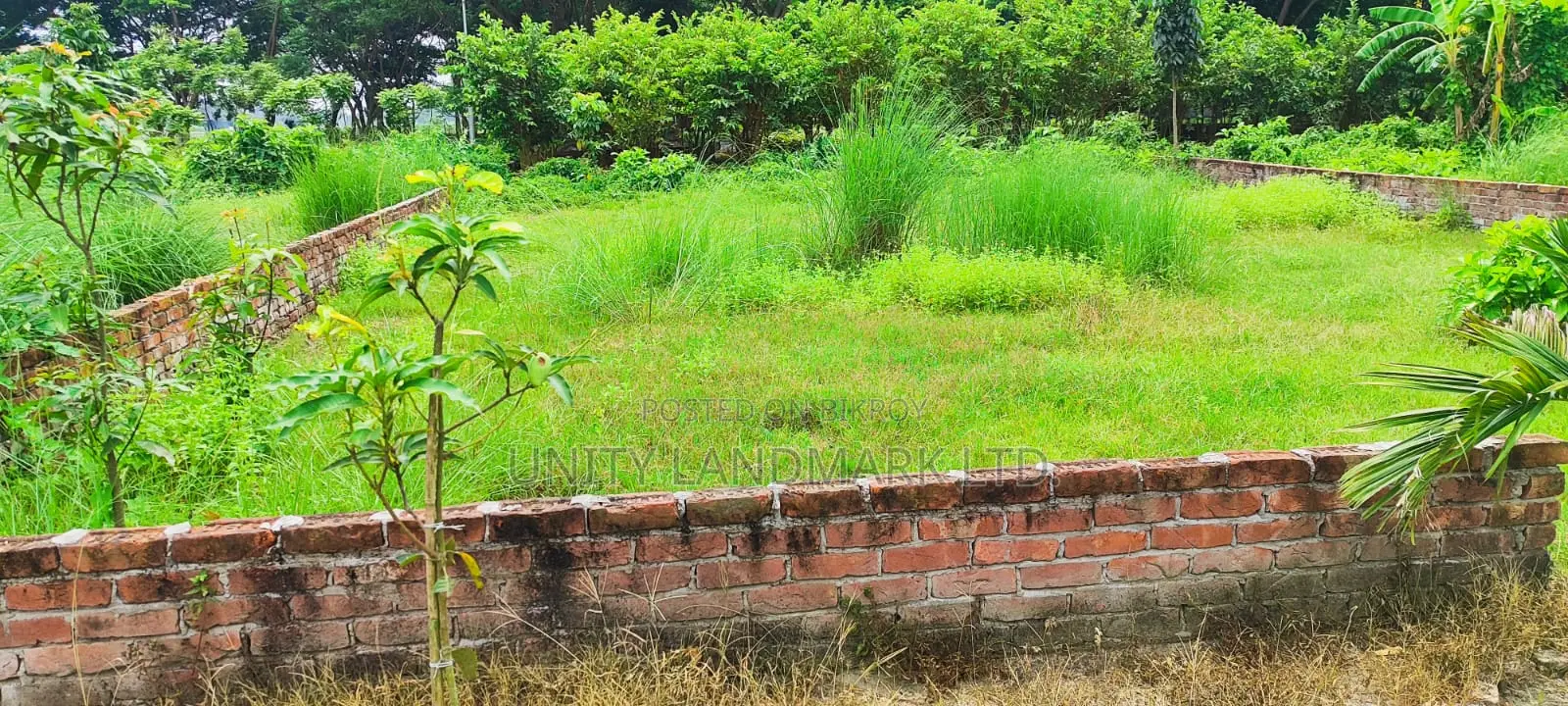 মেট্রো রেলের কাছে হেমায়েতপুর সংলগ্ন ৫ কাঠার নিষ্কন্টক রেডি প্লট