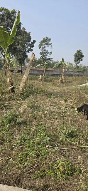 রাজউক পূর্বাচল সেক্টর ১১ দক্ষিণমুখি প্লট বিক্রয়