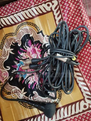 Coil Microphone