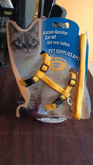 Cat Scratcher Board