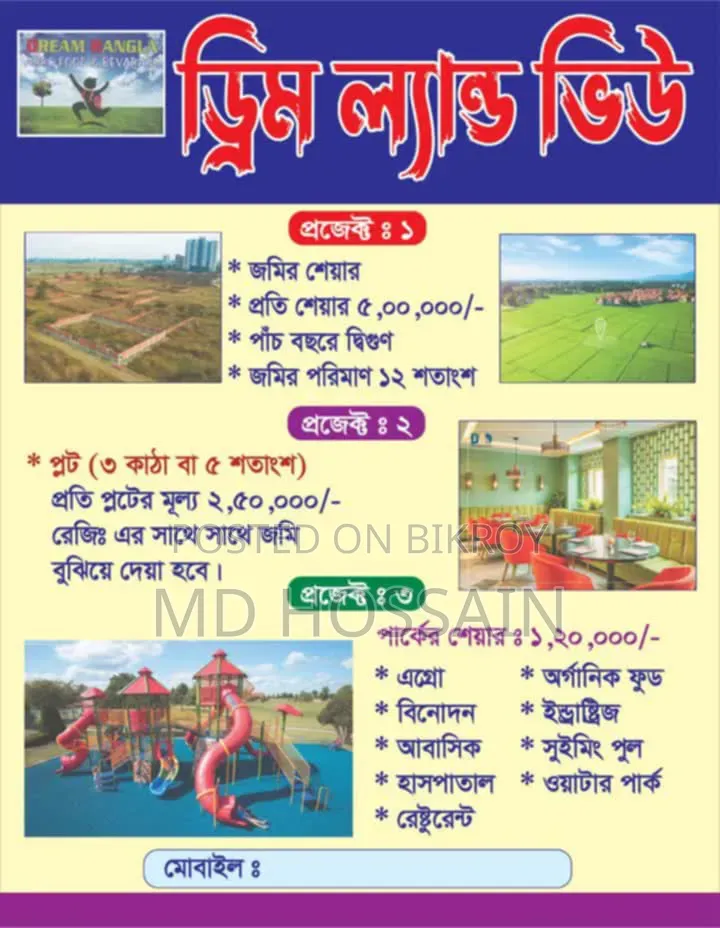 Dream Land View