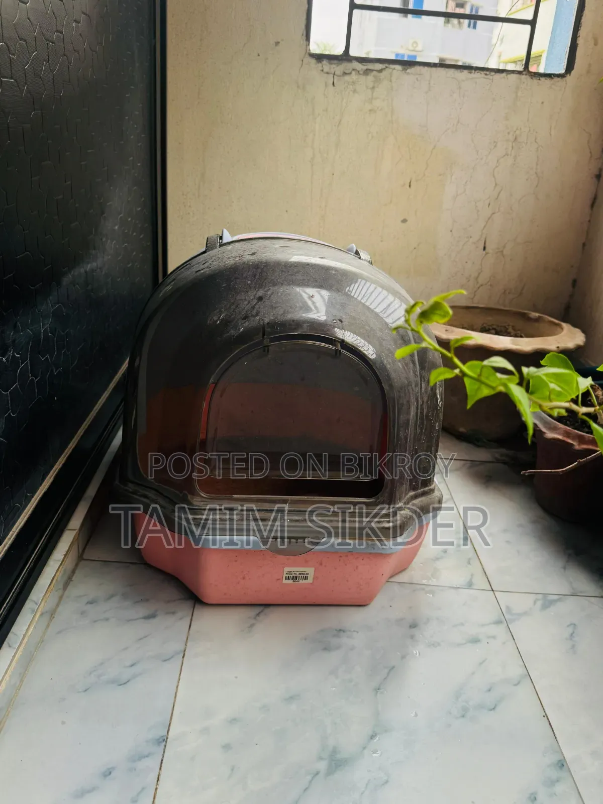 ক্যাট হাউস