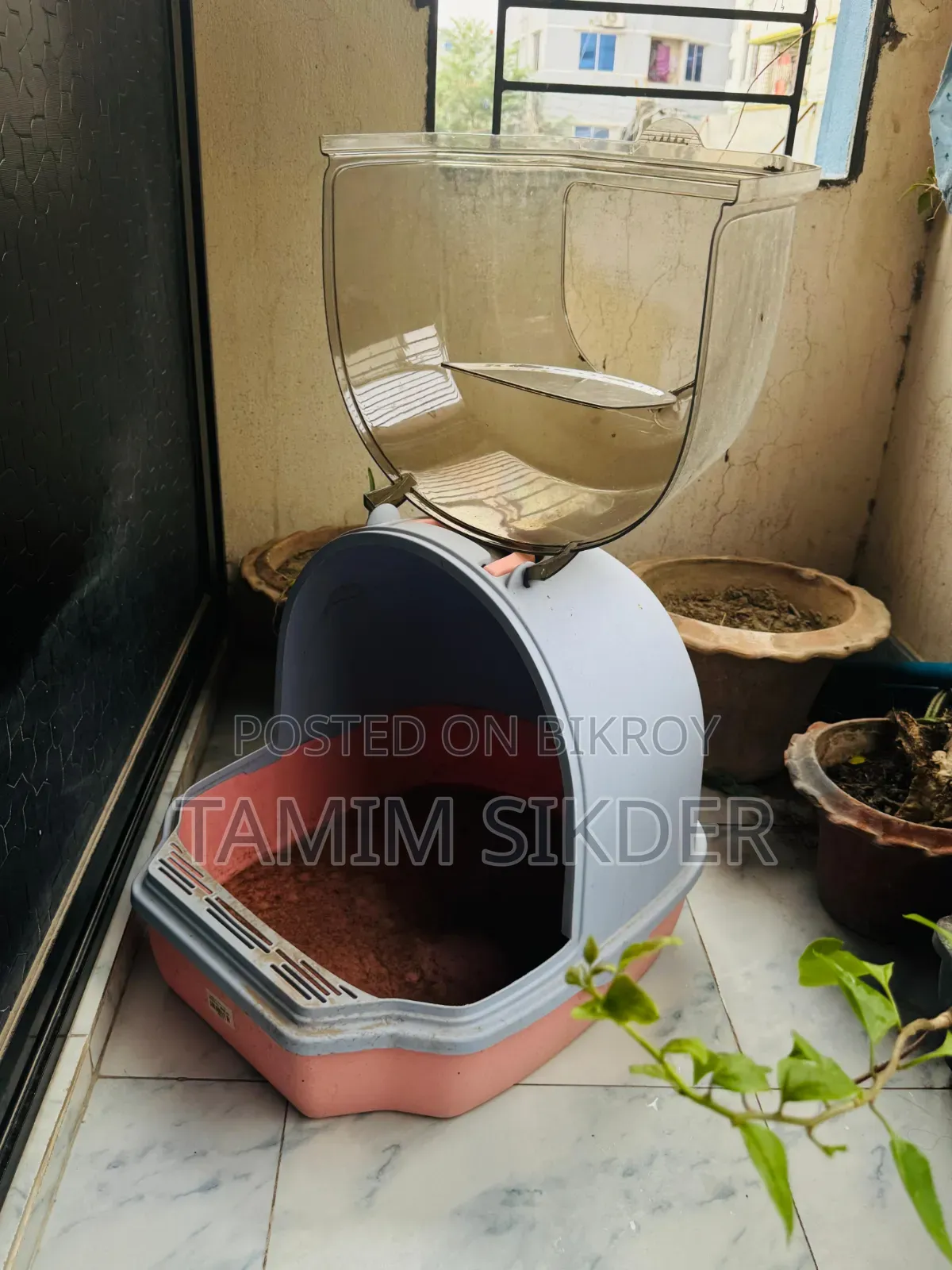 ক্যাট হাউস