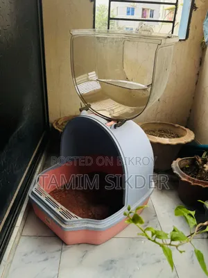ক্যাট হাউস