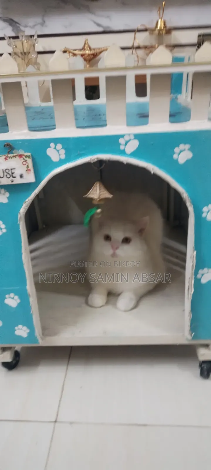 Cat House Indoor Handmade With Ladder, Wheels Rooftop Lounge