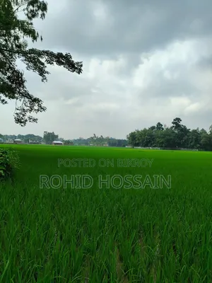 5 Decimal Land for Sale in Rangpur Beside the Road