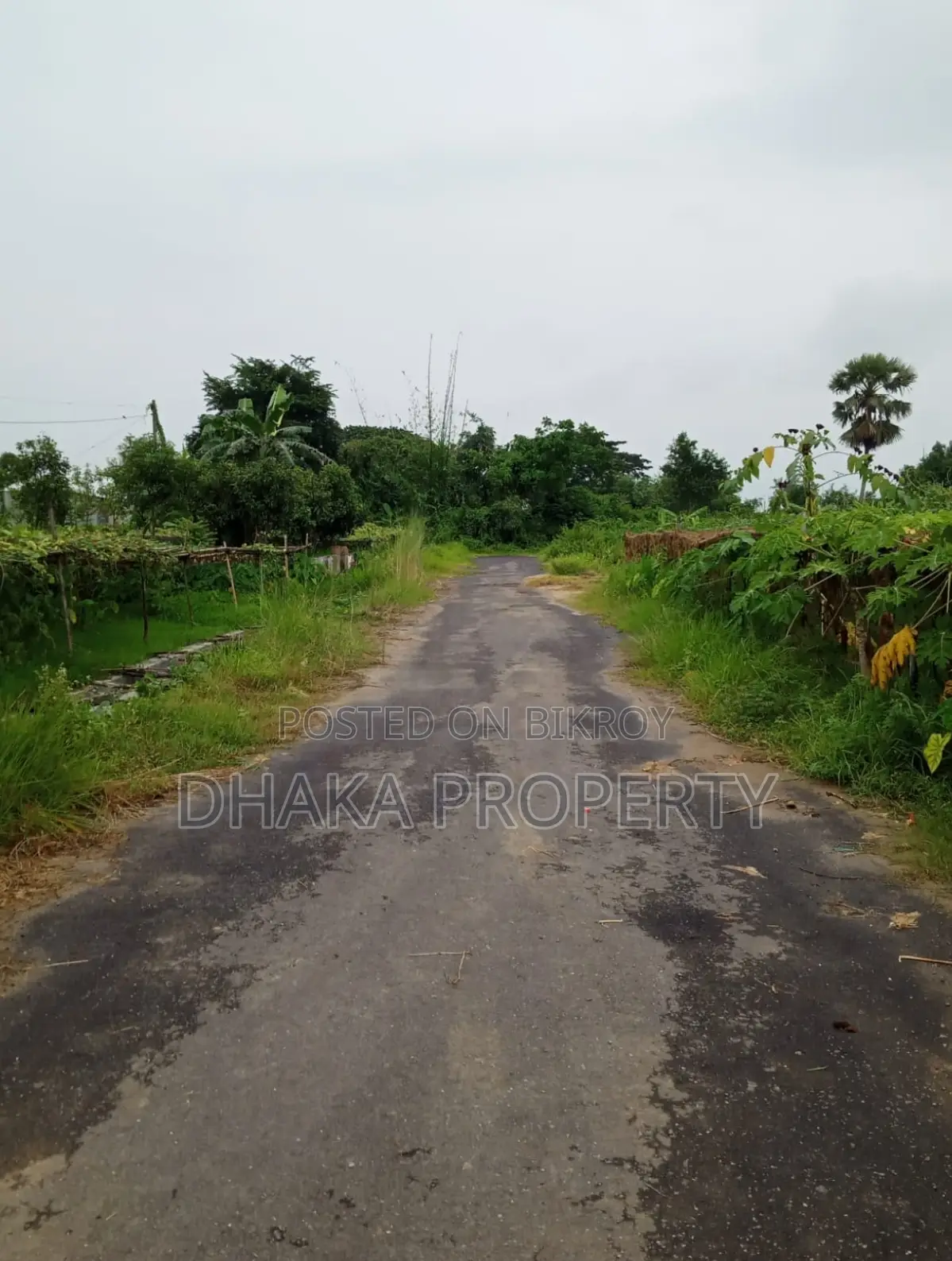 সেক্টর-২৯ এ সাশ্রয়ী মূল্যের ৫ কাঠার পার্ক নর্থ প্লট