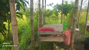 Land for Sale: One Plot Away from the Main Road