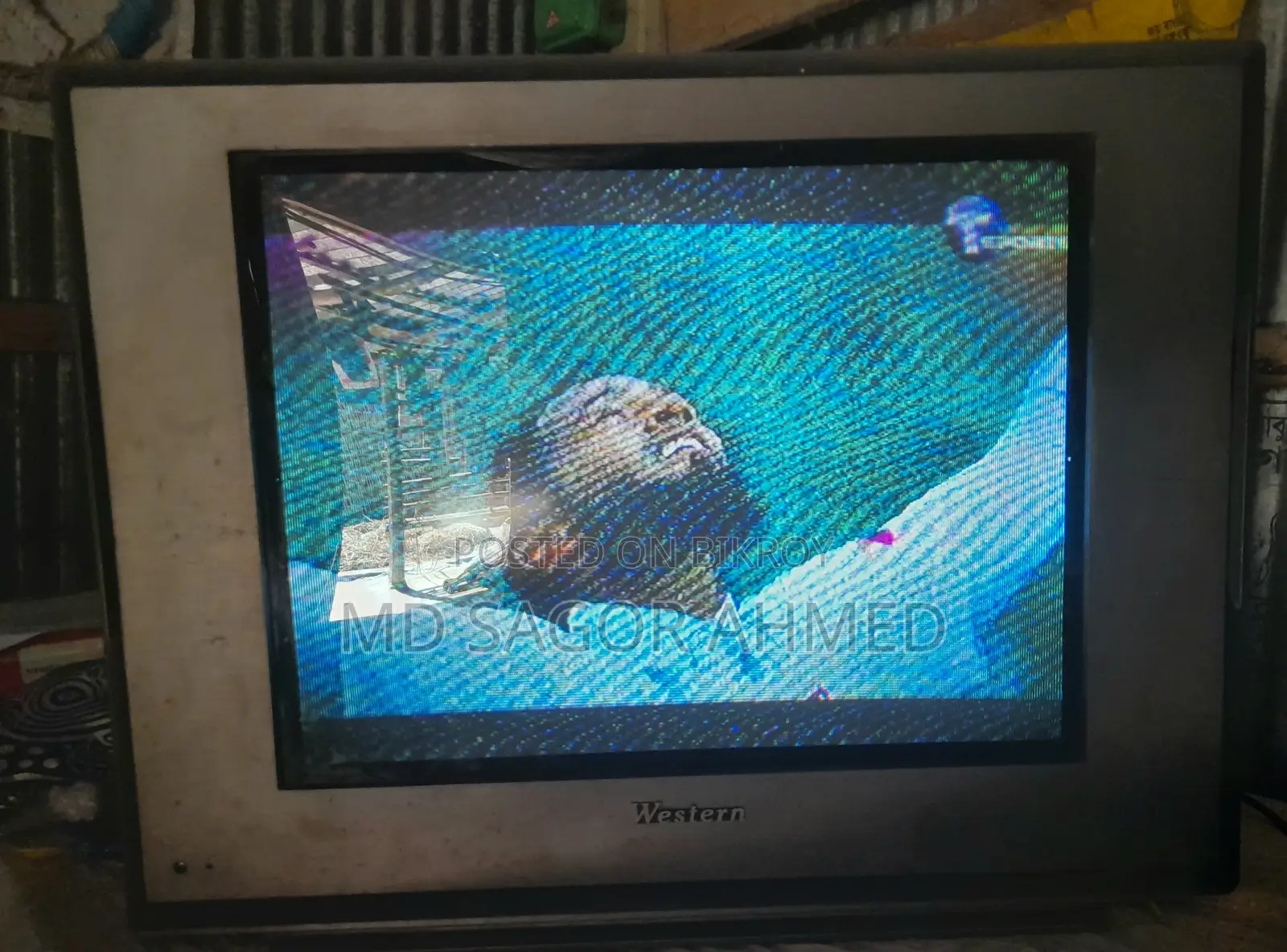 Western Colour Tv ( 21")