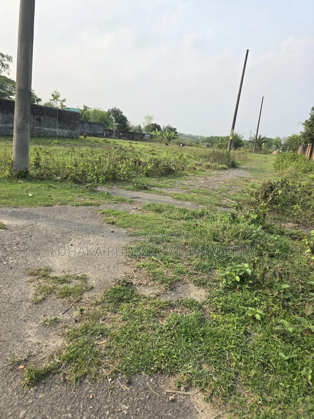 Rajuk Uttara 3 Katha Plot