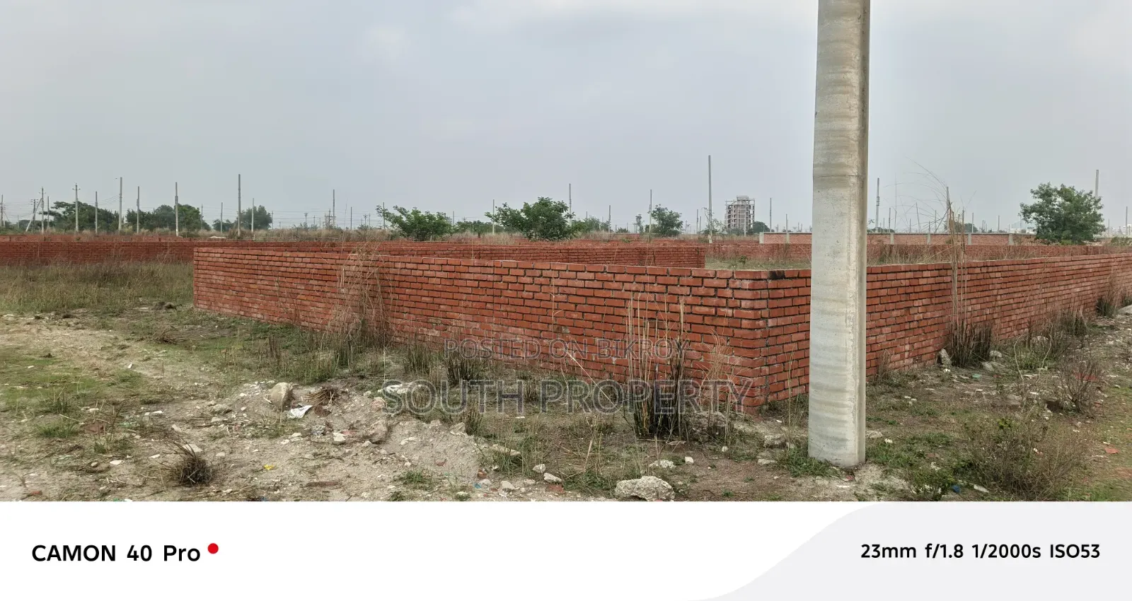 P Block Bashundhara 4 Katha Plot for Sale