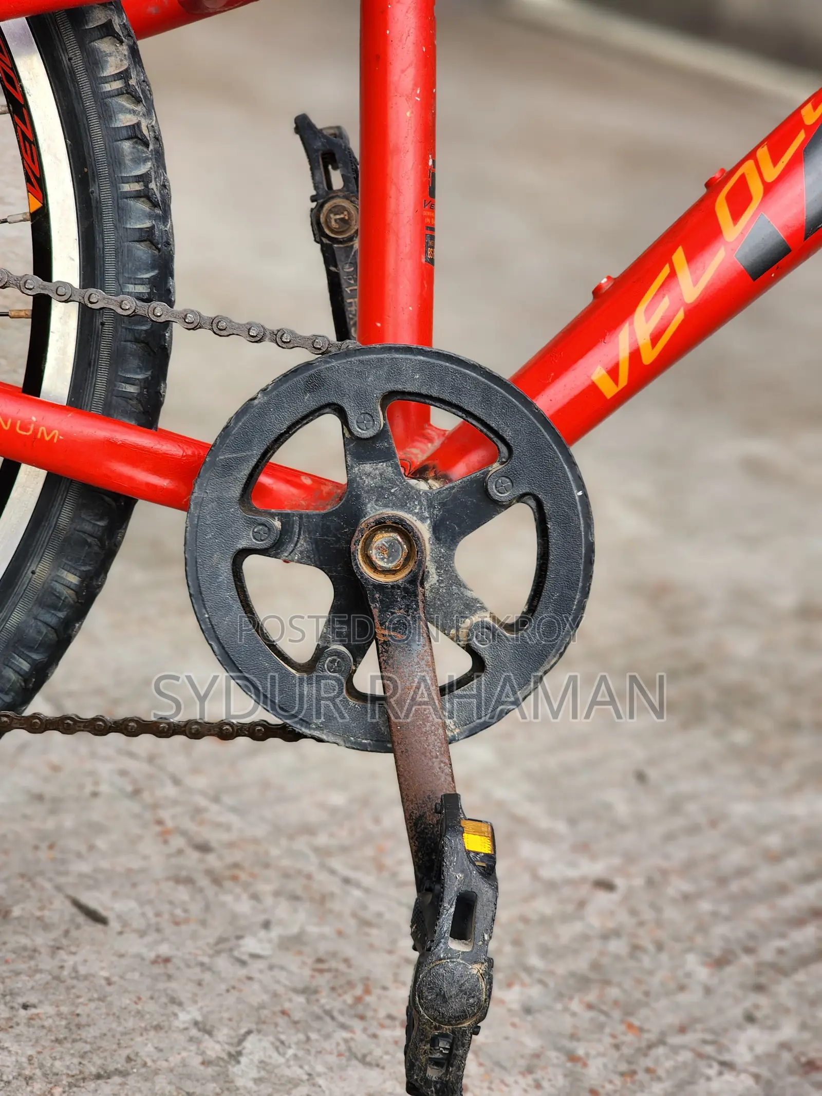 ২৪ ইঞ্চি Veloce জুনিয়র গিয়ার সাইকেল