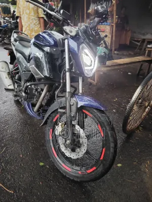 টিভিএস রাইডার ১২৫ ২০১৫ পার্পল