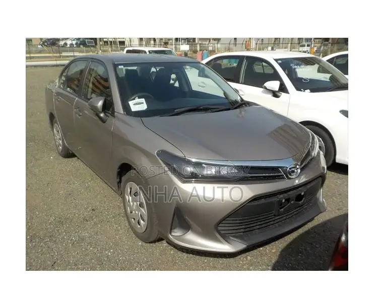 Toyota Axio 2022 Brown