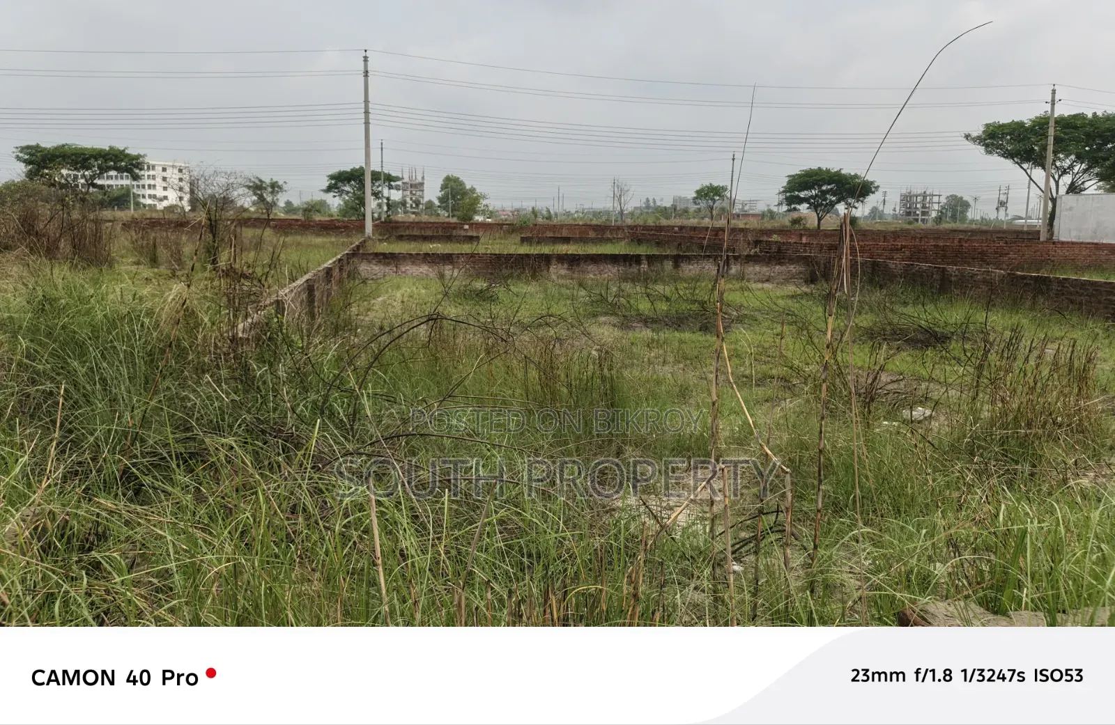 Block P, 4 Katha Plot for Sale in Bashundhara Baridhara