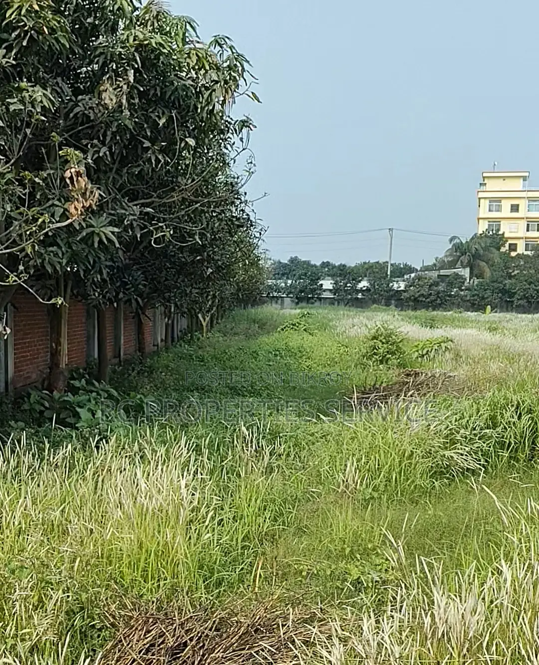 ৭ বিঘা জমি ভাড়া