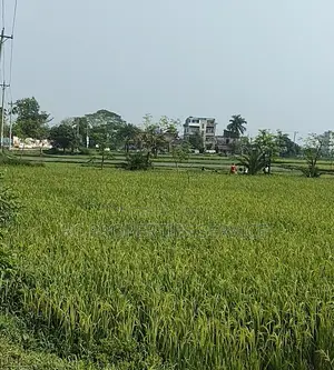 গাজীপুরে ২০ বিঘা শিল্প জমি ভাড়া