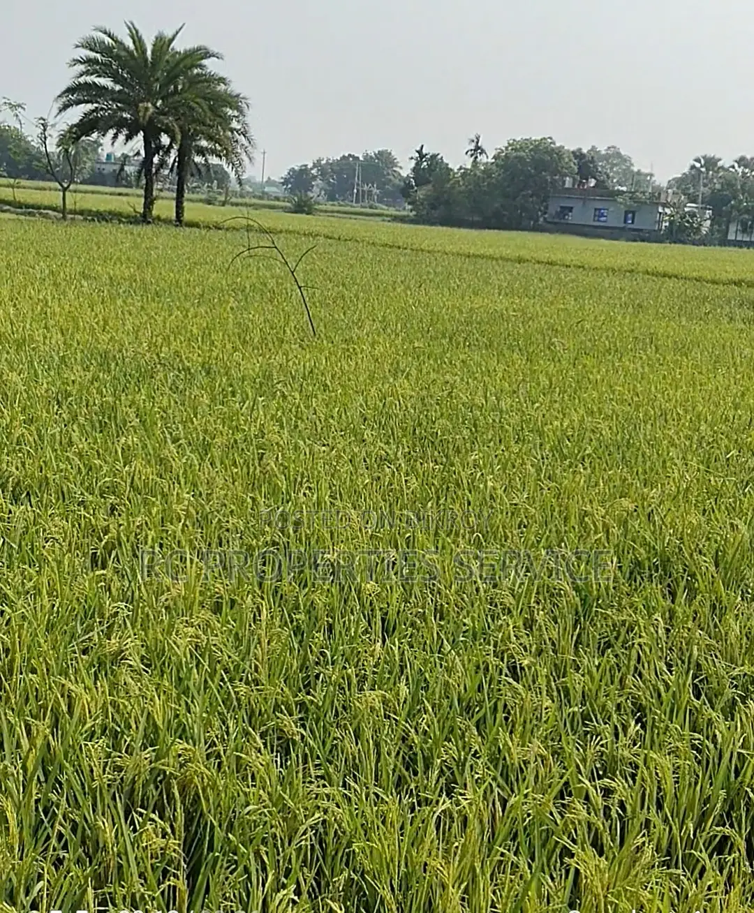 গাজীপুরে ২০ বিঘা শিল্প জমি ভাড়া