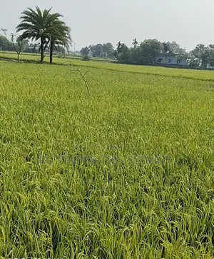 গাজীপুরে ২০ বিঘা শিল্প জমি ভাড়া