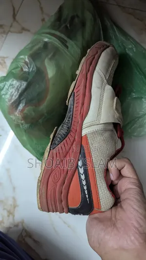 Sega Cricket Spike