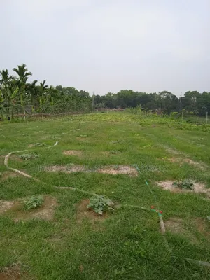 250 Decimal Ready Commercial Land for Sale Adjacent to Dhaka-Chattogram Highway