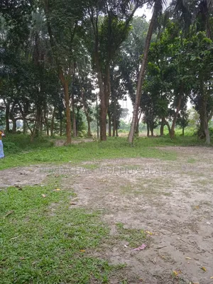 250 Decimal Ready Commercial Land for Sale Adjacent to Dhaka-Chattogram Highway
