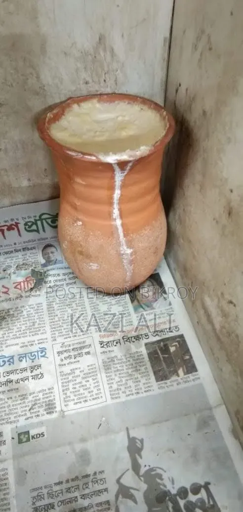 একবার আমাদের হাতিয়ার মহিষের দুধের দই ট্রাই করলেই বুঝবেন—এটাই আসল! 