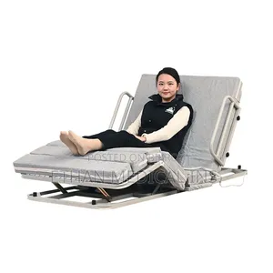 Two-Function Electric Home Care Medical Bed