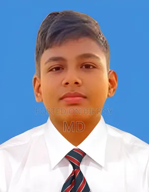 My name is Rofikul Islam, I need a job