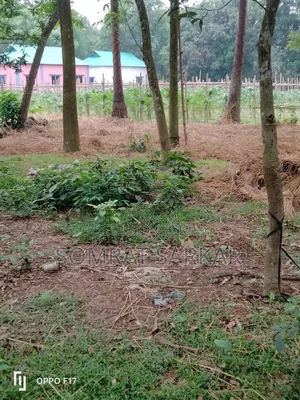 7 Katha Land Suitable for Building a House