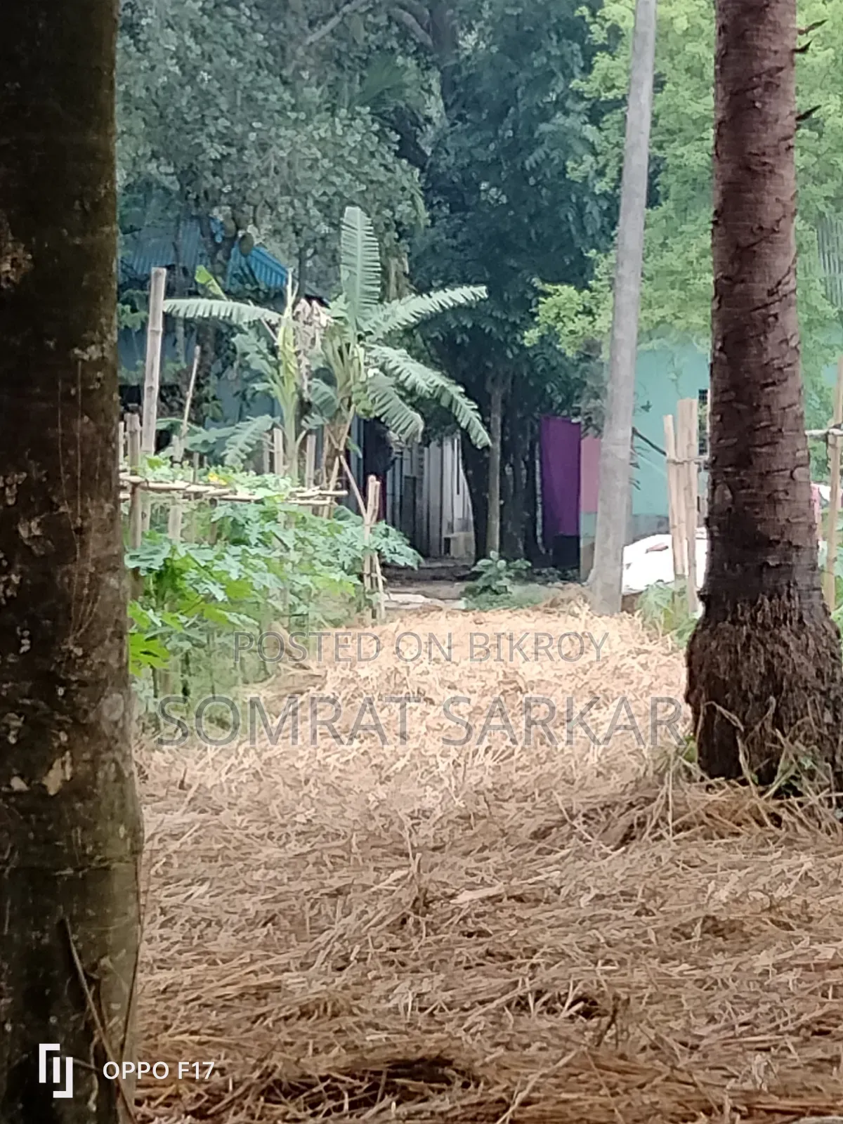 7 Katha Land Suitable for Building a House