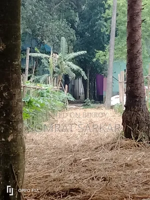 7 Katha Land Suitable for Building a House