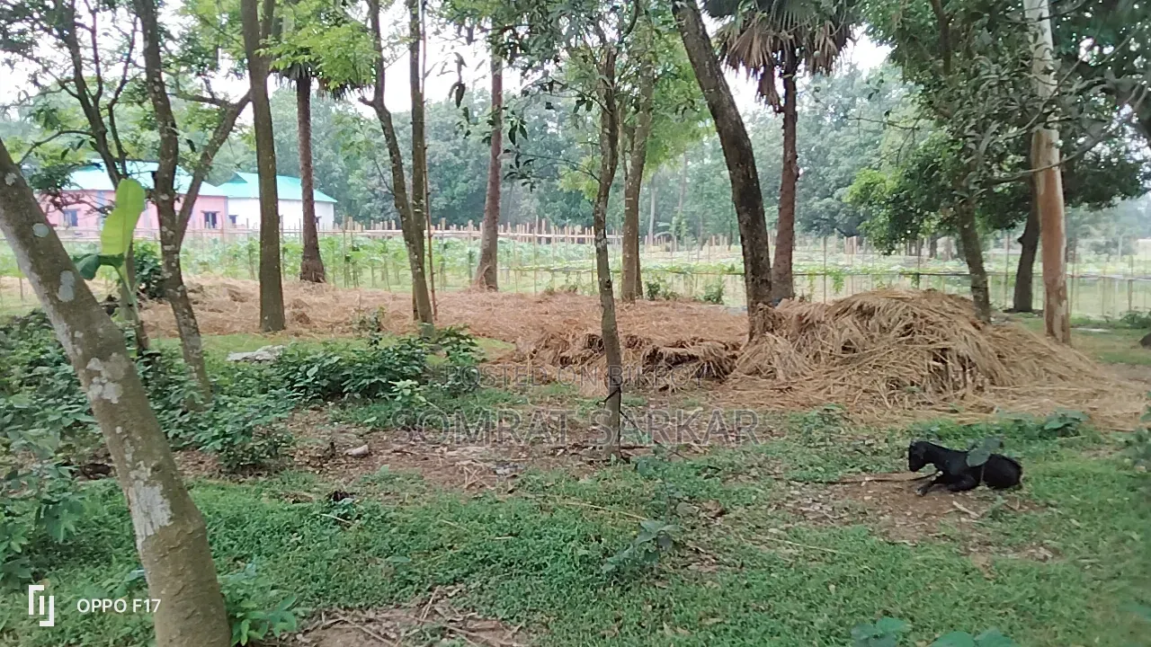 7 Katha Land Suitable for Building a House