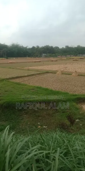 জরুরি জমি বিক্রয় করতে চাই