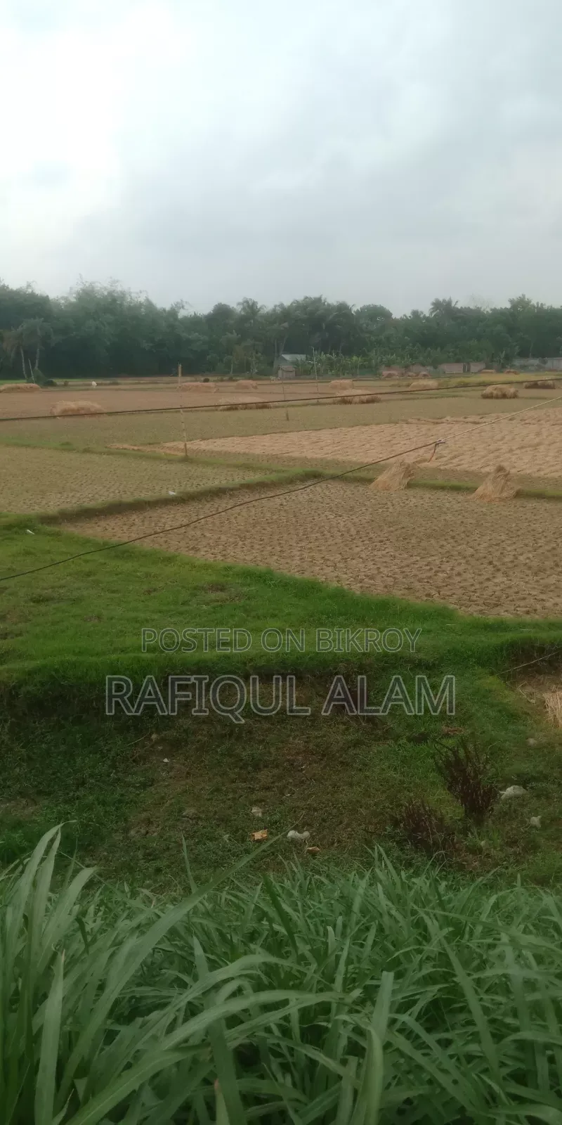 জরুরি জমি বিক্রয় করতে চাই