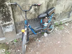 মোটরসাইকেল ২০২৪ গ্রিন
