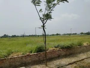 বসুন্ধরা ব্লক এম-এ ৫ কাঠা জমি বিক্রয় হবে