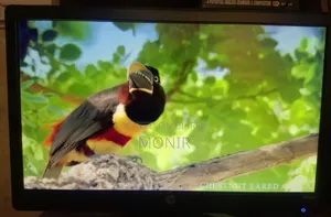 HP Monitor LV1911 (Fresh)