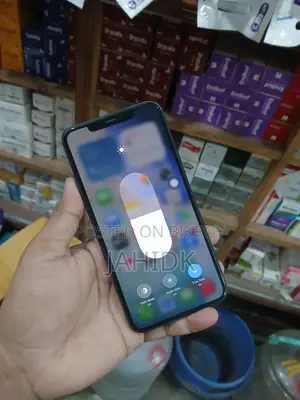 Apple iPhone 11 Pro Max 256 GB Gray