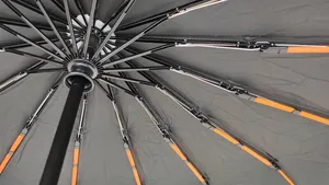 Bmw Premium Umbrella