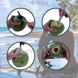 Coconut Hole Opener Tool